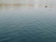 水质检测_农田灌溉用水检测