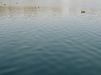 水质检测_农田灌溉用水检测