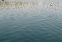 水质检测_农田灌溉用水检测