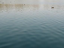 水质检测_农田灌溉用水检测
