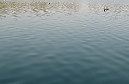 水质检测_农田灌溉用水检测