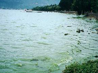 黑臭水体检测