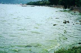 黑臭水体检测