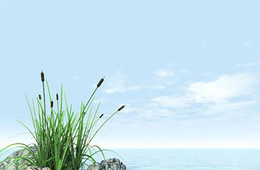 农田灌溉用水检测