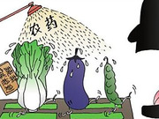 农药检测+兽药检测