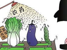 农药检测+兽药检测