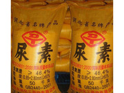 尿素检测