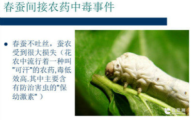 春蚕间接农药中毒，蔬菜农残检测确定还不重视！