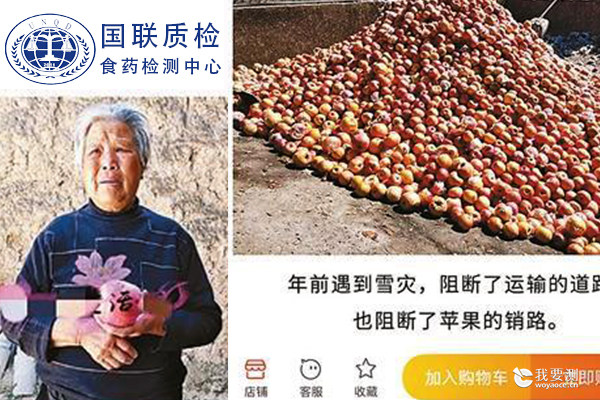 食药检测中心_苹果滞销网销套路