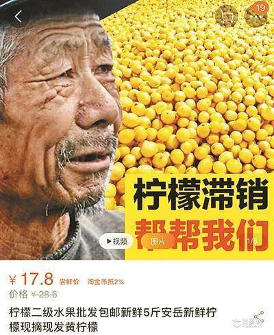 食品检测机构