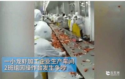 工人起内讧,食品检测历经战争的虾销毁还是销售