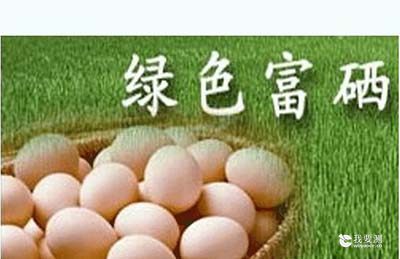 富硒鸡蛋可以给儿童安全补硒?鸡蛋检测告诉你这些