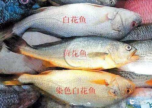 楸艰韩涓婃帀鑹层€佷笉娑堝寲, 鎯虫娴嬫笖鐢ㄩゲ鏂欏幓鍝噷?
