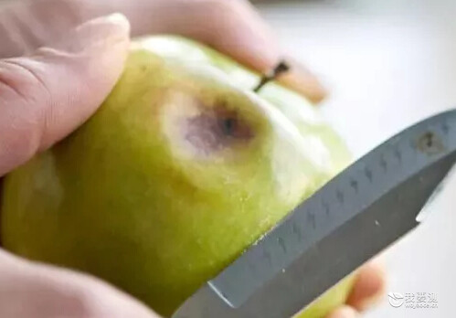 3086329_994722.jpg
