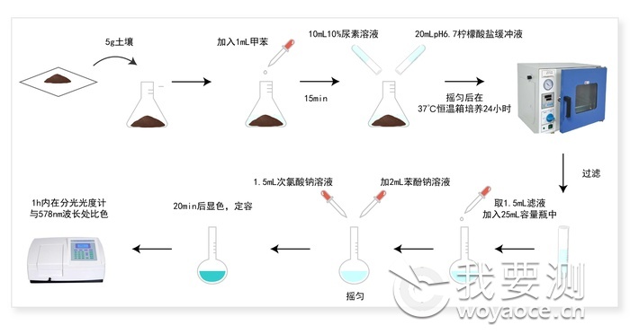 urease-process.png