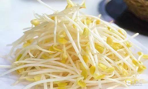 什么？我买的豆芽有毒！豆芽检测，食品检测