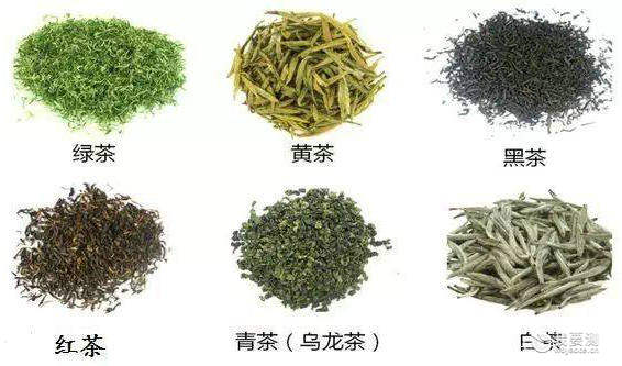 茶叶会发花？冠突散囊菌是有益菌还是有害菌？茶叶检测