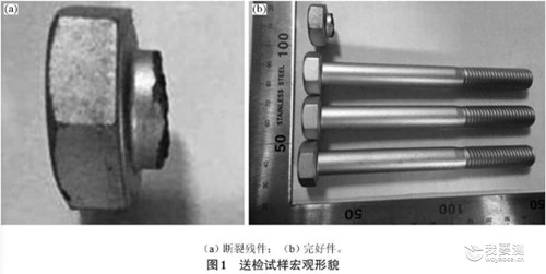 图1 送检试验宏观形貌.jpg