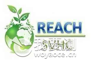 REACH3.jpg