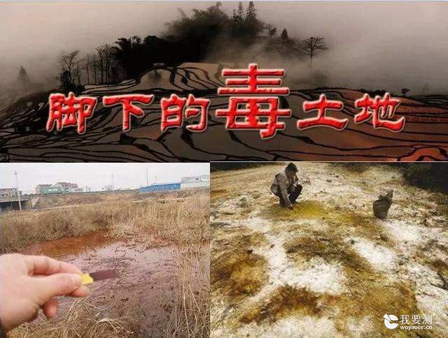 土壤样品采集开始啦——安国中药材（中国药典品种）质量可追溯项目（ 2020 ）