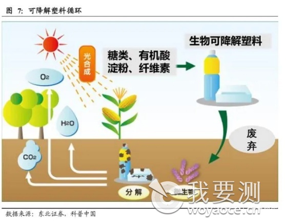 可降解塑料算什么垃圾？大多数人都误会了