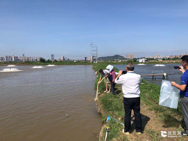 中广测赴珠海开展省级水产品质量安全专项飞行检查