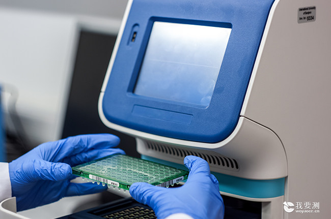 02.jpg