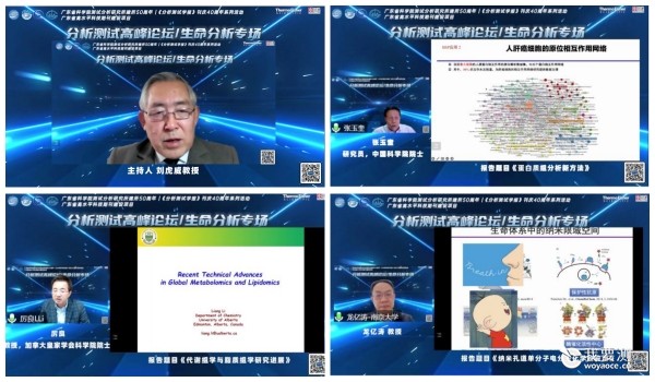 生命分析主图_-1副本.jpg 生命分析主图_-1副本.jpg