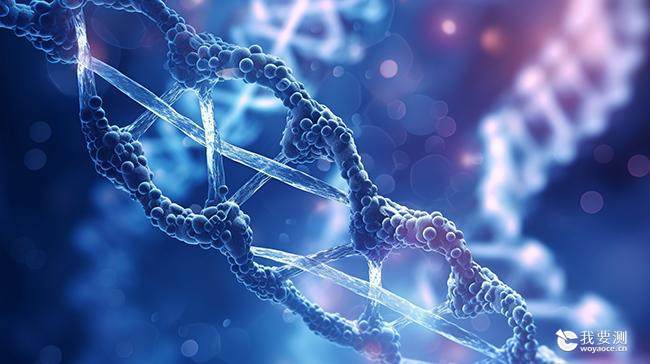 如何提取高质量的RNA和DNA？