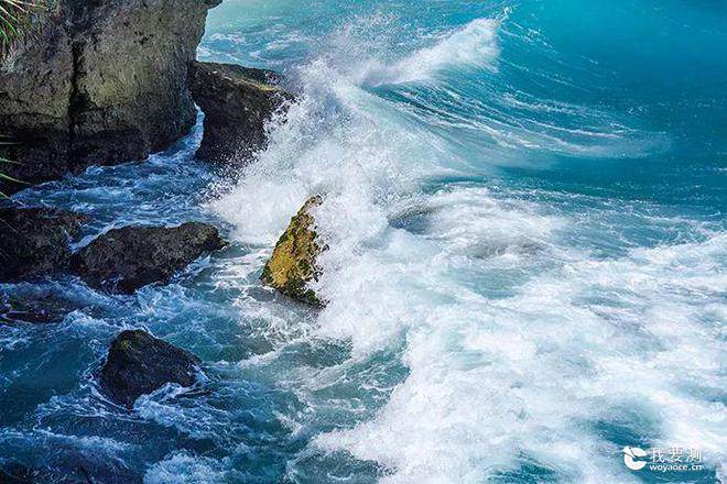 保护海洋：海洋生态环境检测