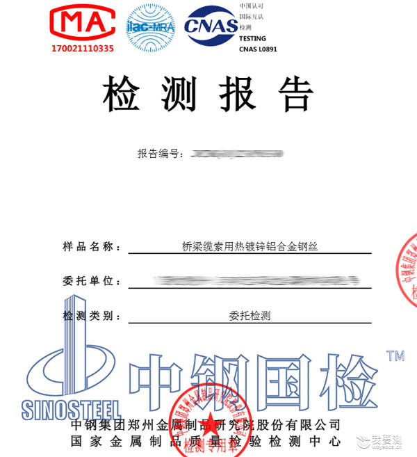 桥梁缆索检测报告 桥梁缆索检测报告