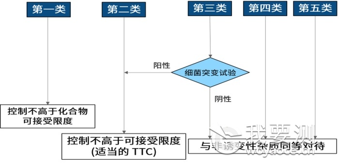 基因毒案例.png