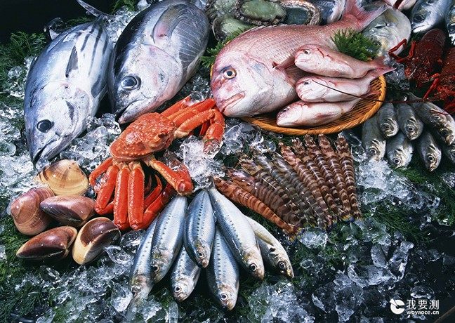 海洋生物功效成分检测 
