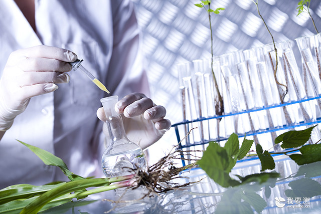 碳水化合物含量检测：全面解析糖类组分与膳食纤维