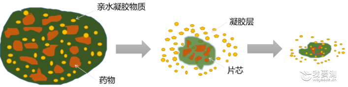 口服固体缓控释制剂浅析之骨架型