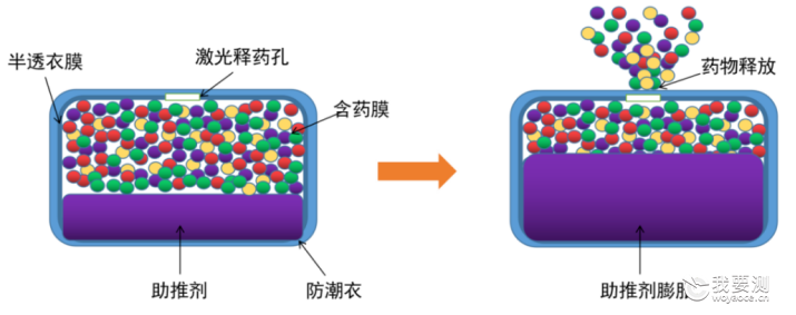 口服固体缓控释制剂浅析之渗透泵型