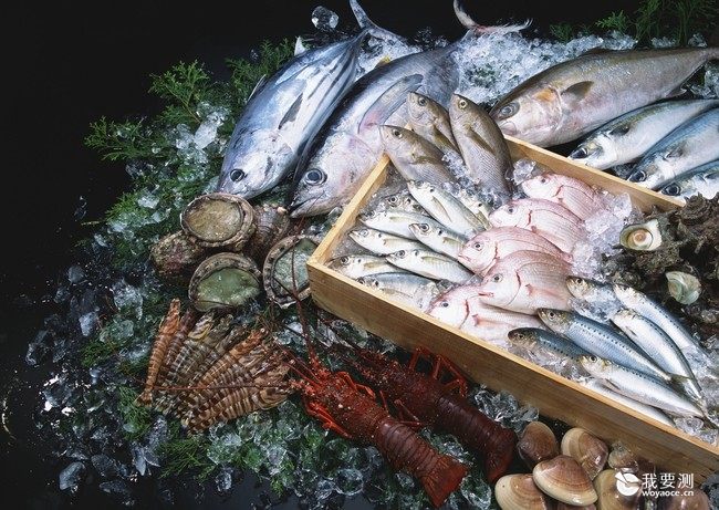 深海鱼类 EPA/DHA 含量检测