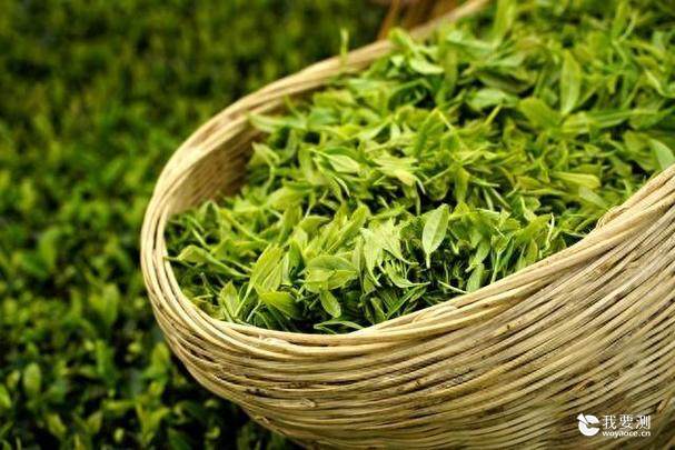 茶叶农残检测的全面解析