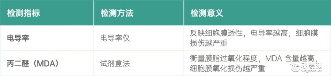 植物低温胁迫后需检测哪些理化指标？一文解锁关键研究方向