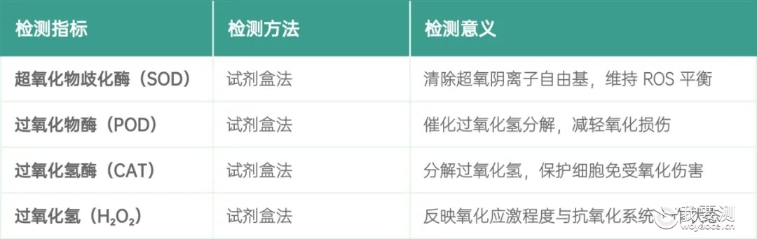 3.渗透调节物质指标.jpg 3.渗透调节物质指标.jpg