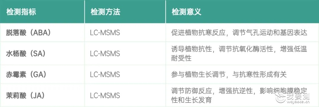 5 激素水平.webp.jpg 5 激素水平.webp.jpg
