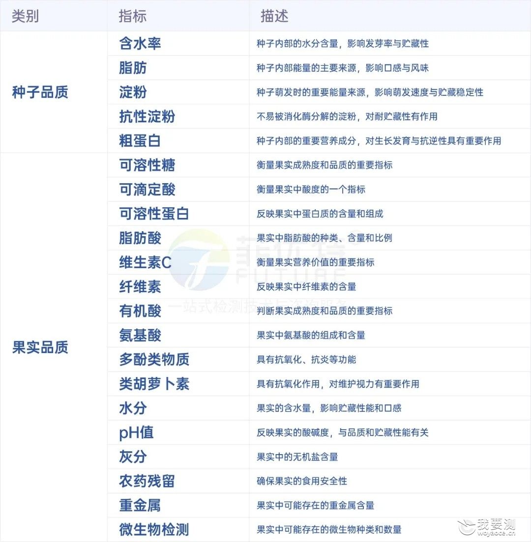 种子及果实品质检测