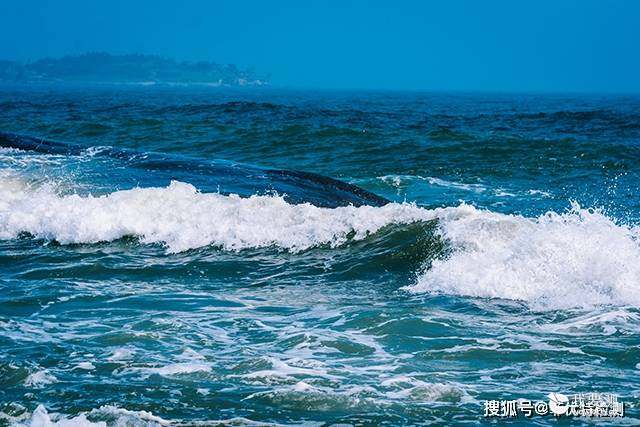 海水检测：海水总氮总磷检测 