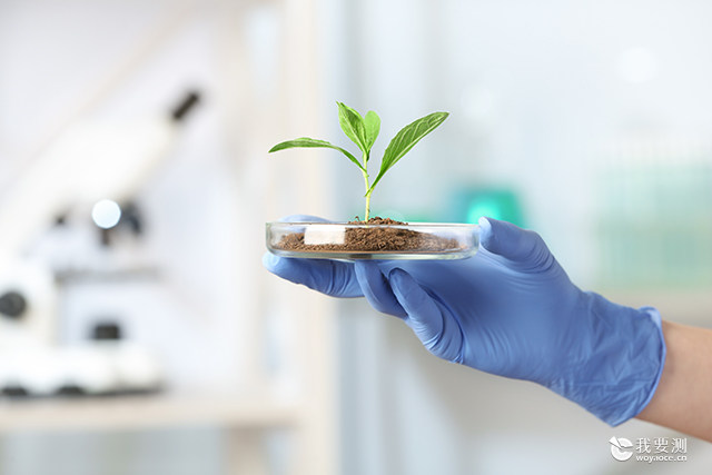 千库网_科学家拿着培养皿与绿色植物在实验室,特写。文本空间_摄影图编号763341 内页.jpg 千库网_科学家拿着培养皿与绿色植物在实验室,特写。文本空间_摄影图编号763341 内页.jpg