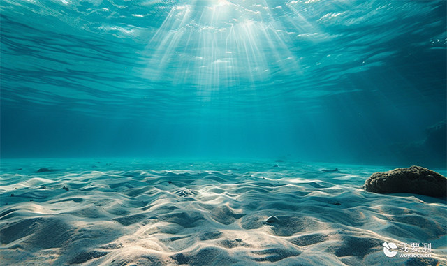 沉积物检测