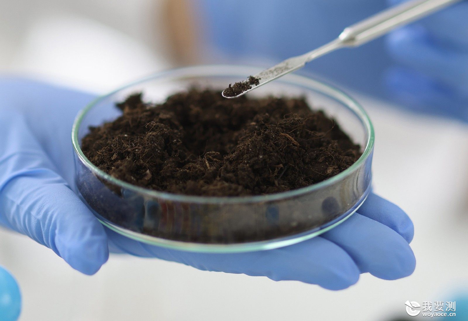 土壤微生物量碳检测 土壤微生物量碳检测